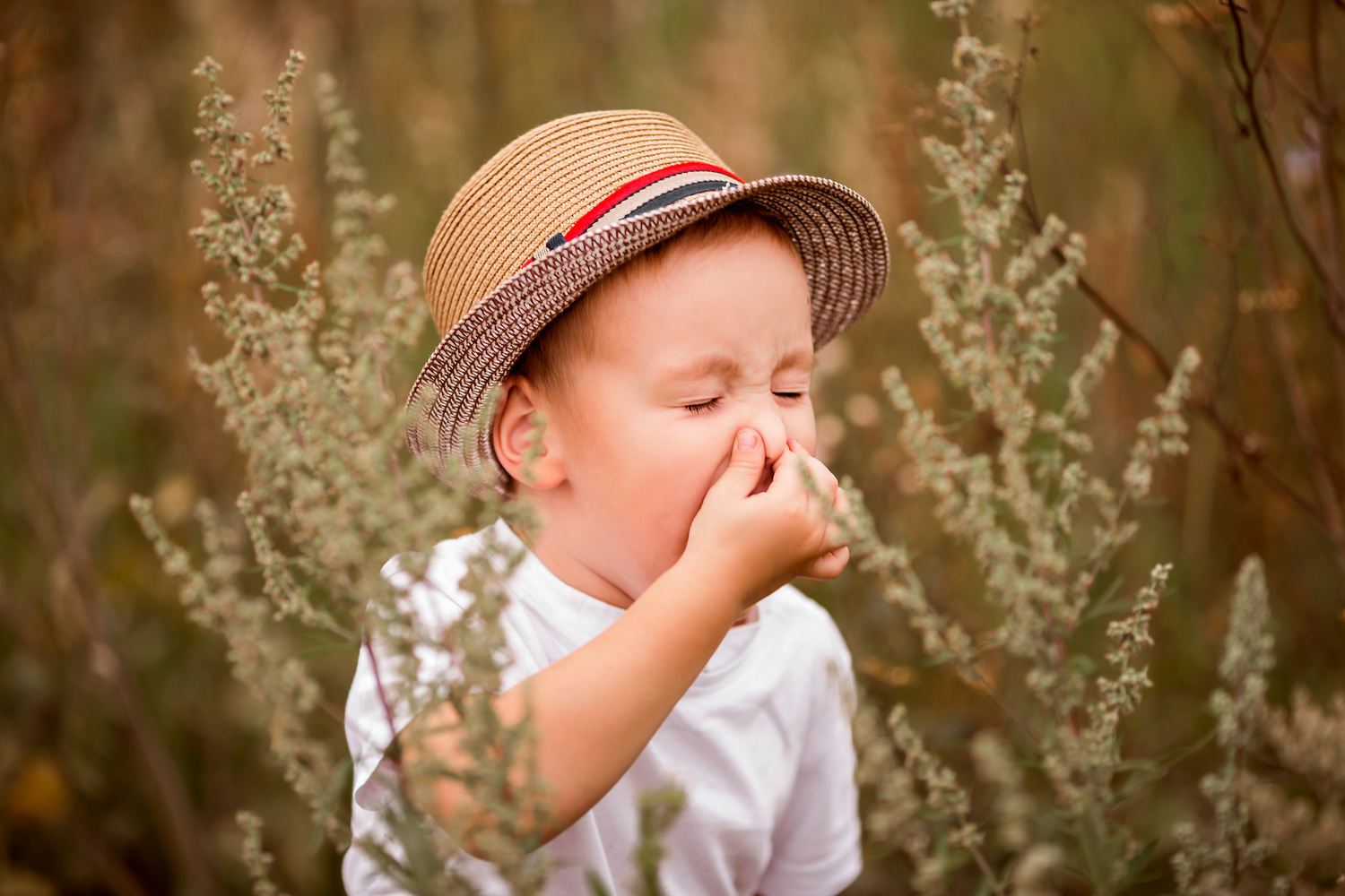Common Indoor And Outdoor Allergens in Children by Dr. Srikanta J T Being The Parent
