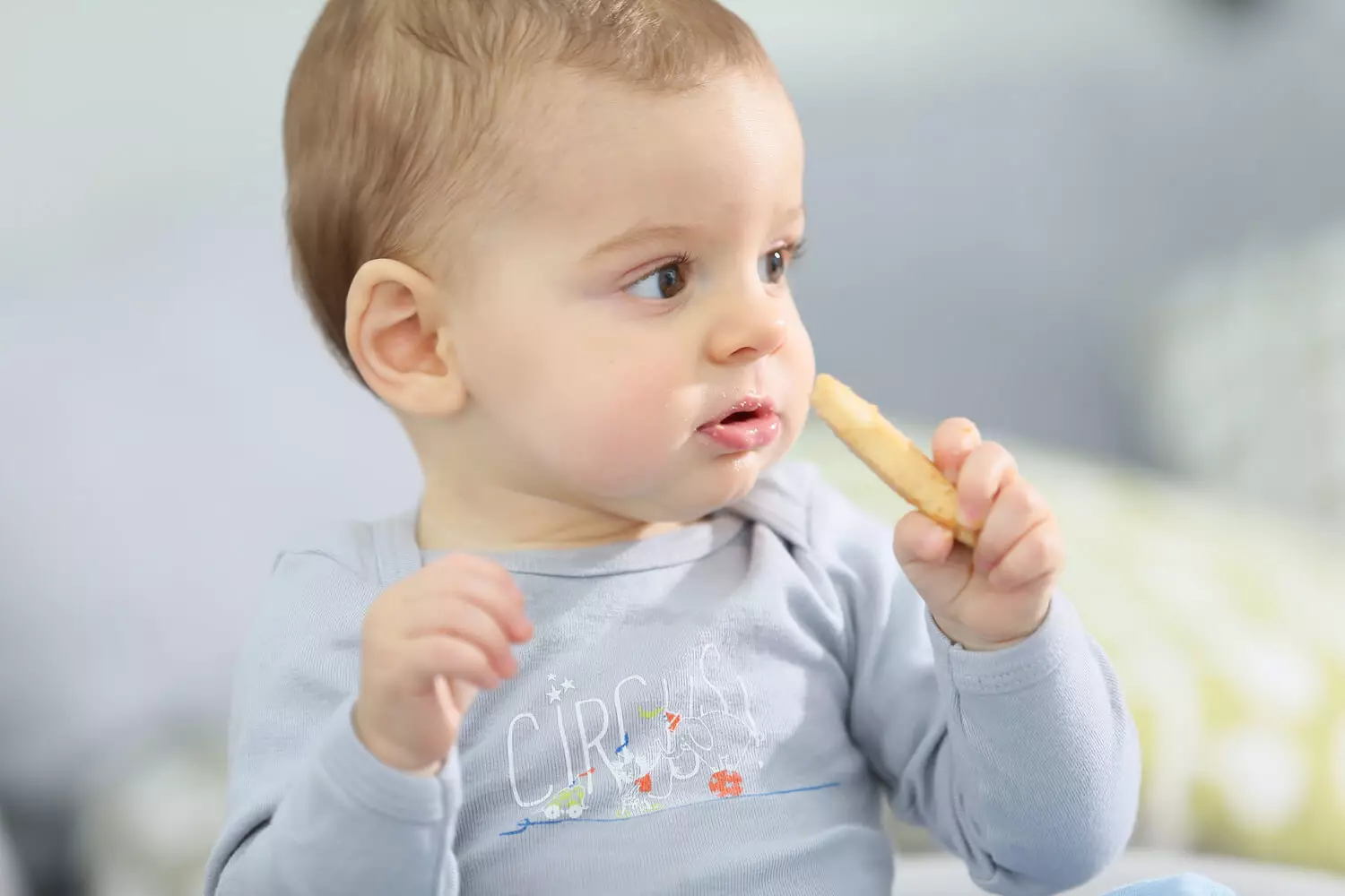 Biscuits For Babies Good or Bad? Being The Parent