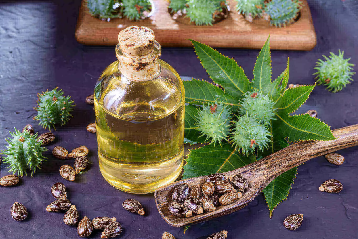 Hair Care | Mamaearth Onion Hair Oil | Freeup