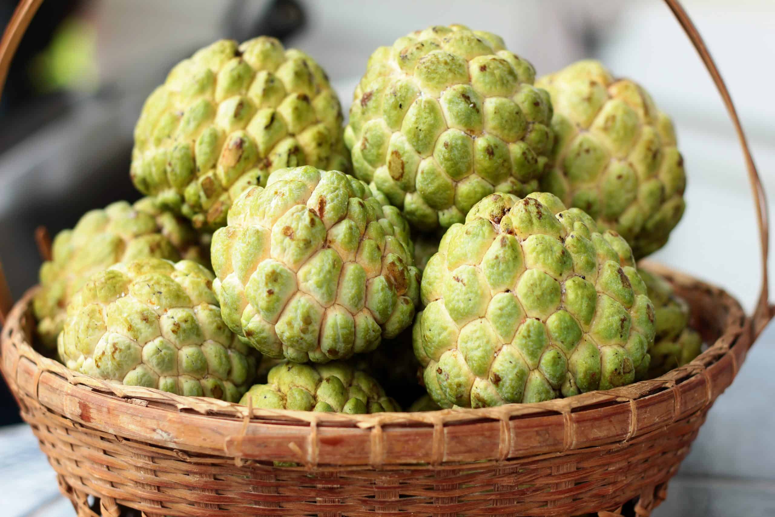 Custard Apples During Pregnancy Health Benefits, Simple Recipe