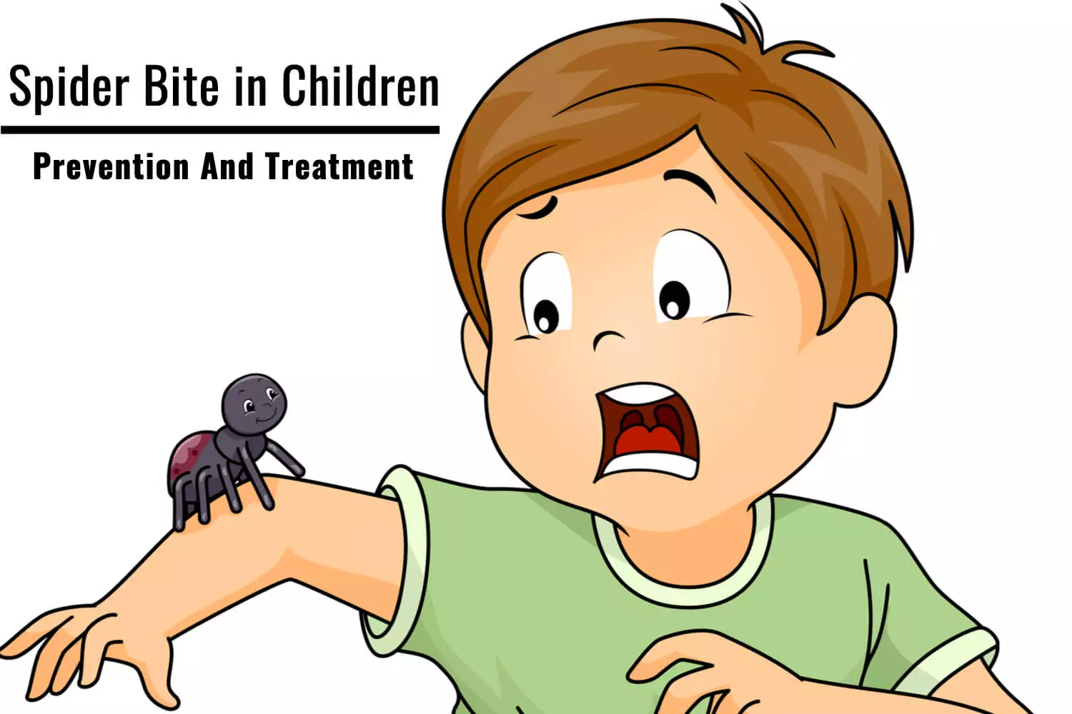 Spider Bite in Children Prevention And Treatment by Dr Chetan Ginigeri