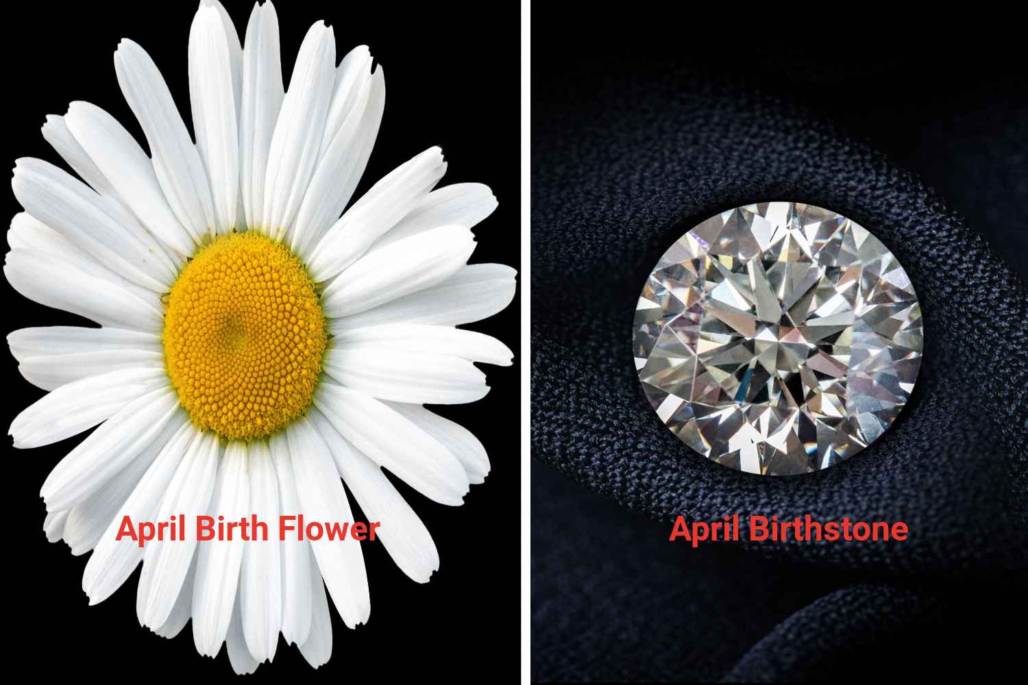 April Birthstone And Birth Flower: