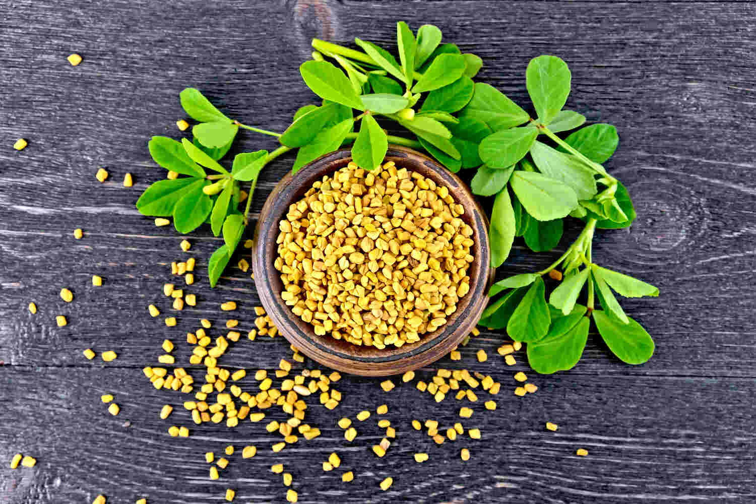 Fenugreek while trying to conceive - Is It Safe_