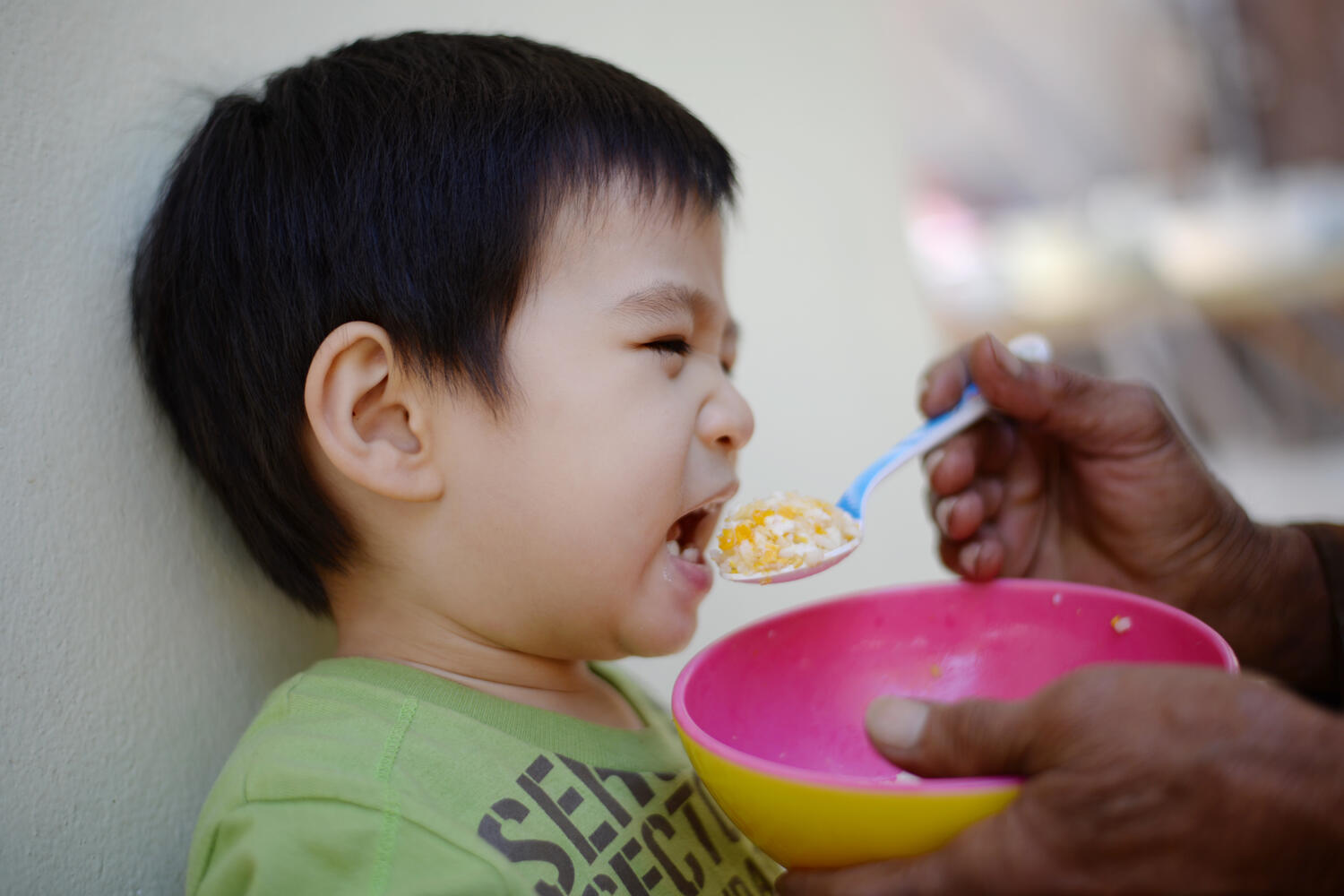 Feeding forcibly aggravates fussy eating in toddlers
