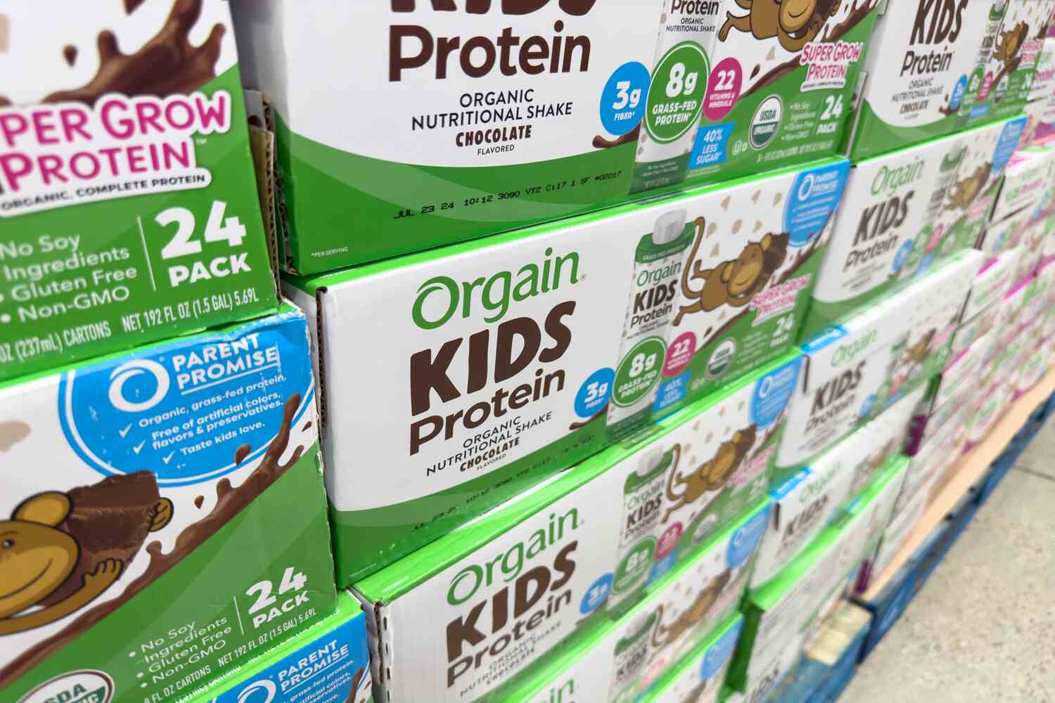 How to choose protein powder for toddlers