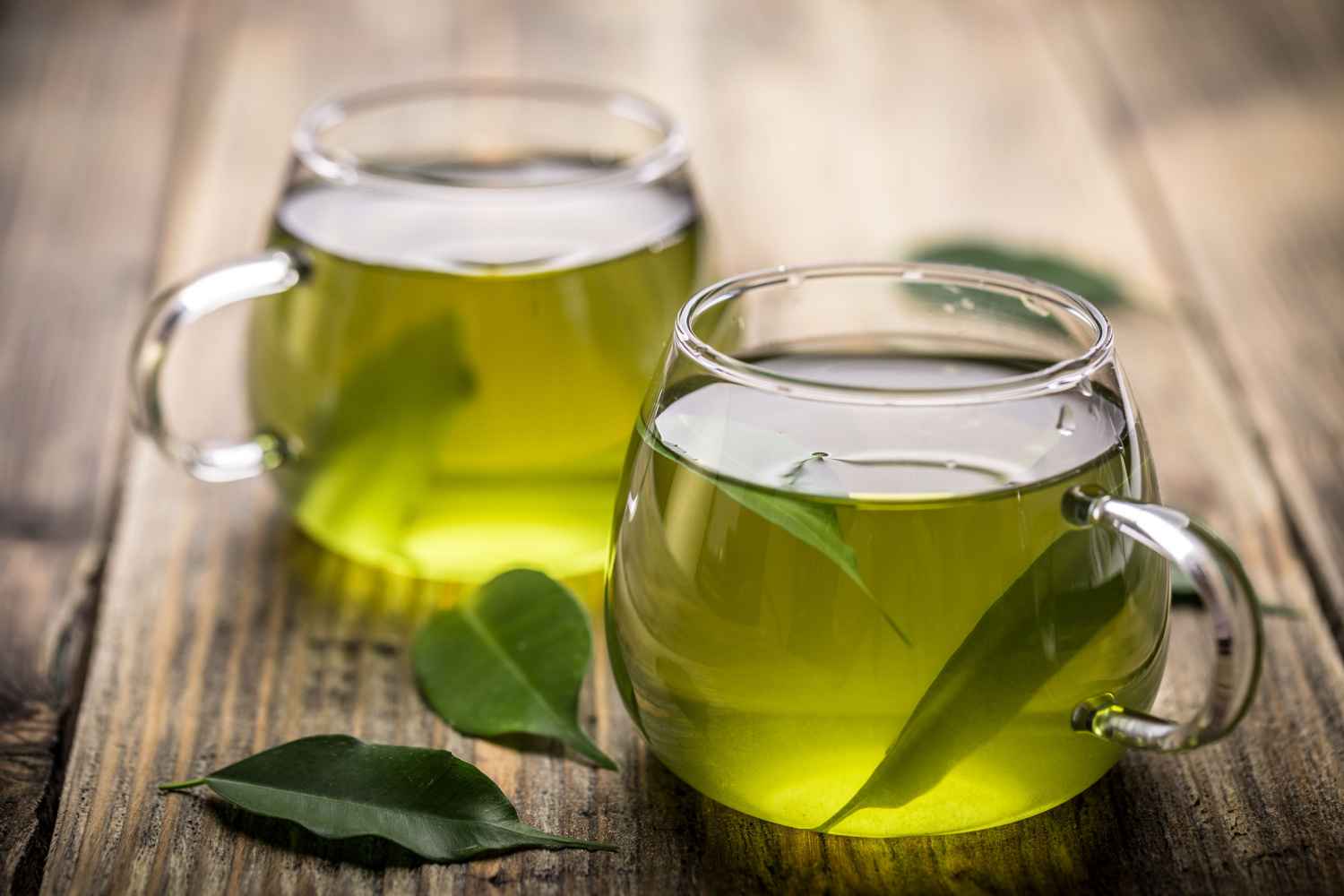 Green tea and fertility