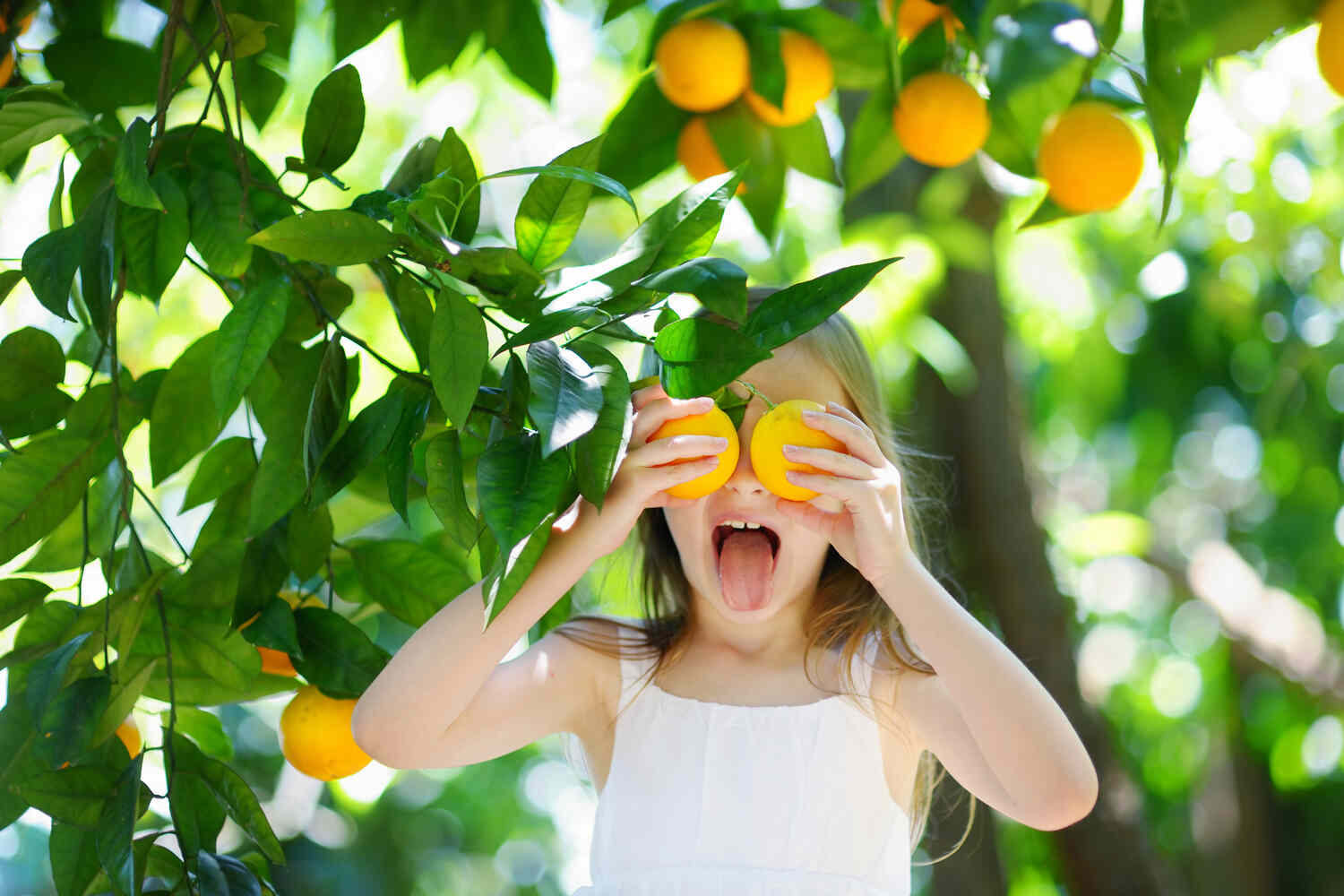 Citrus fruits for toddlers