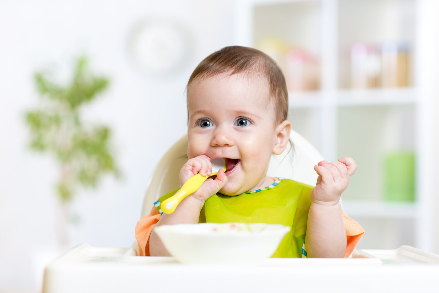 Introducing solids to babies