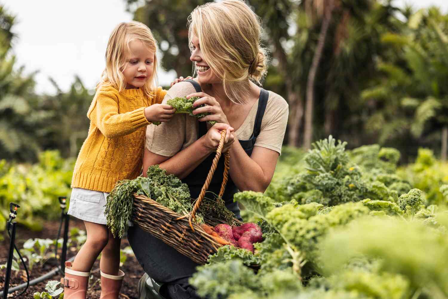 A toddler helping her mother