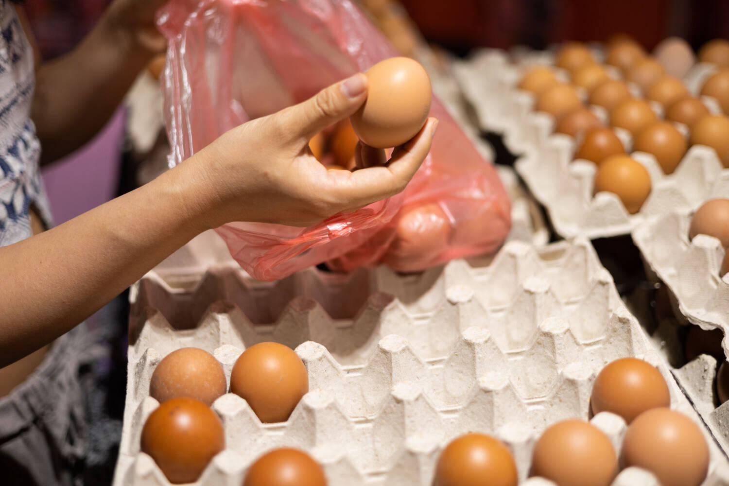 Selecting and storing eggs