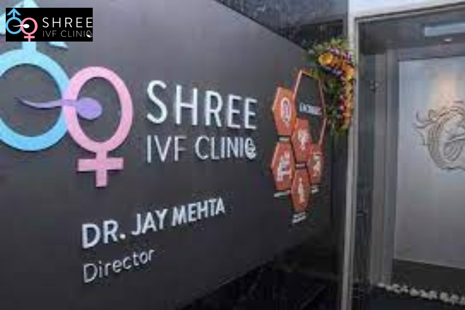 Shree IVF Clinic