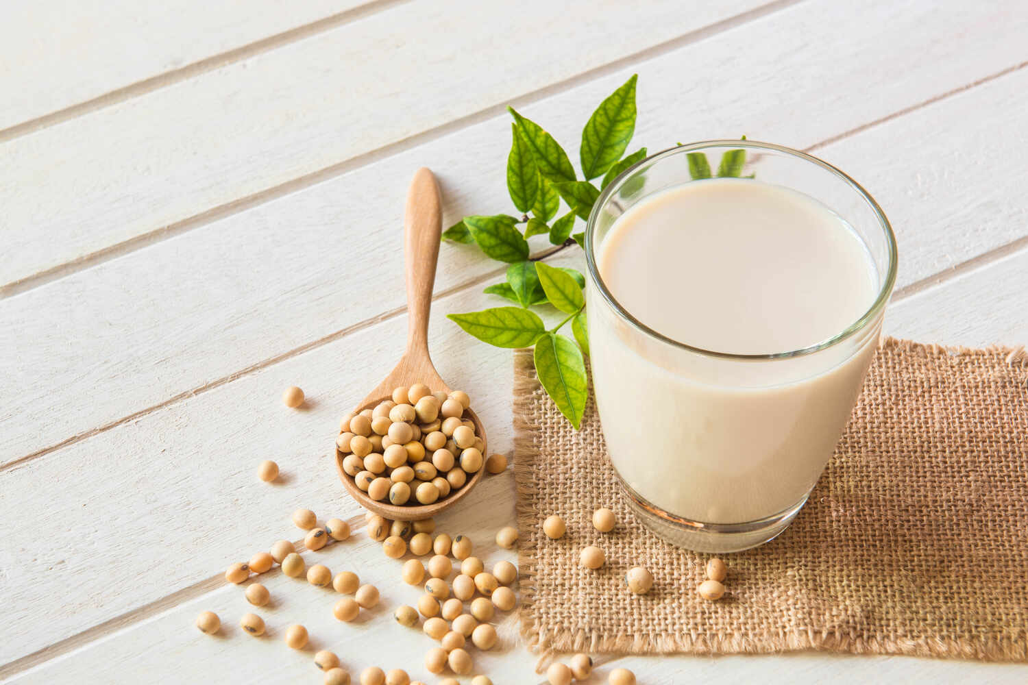 What is the Recommended Amount of Soymilk for a Pregnant Woman_