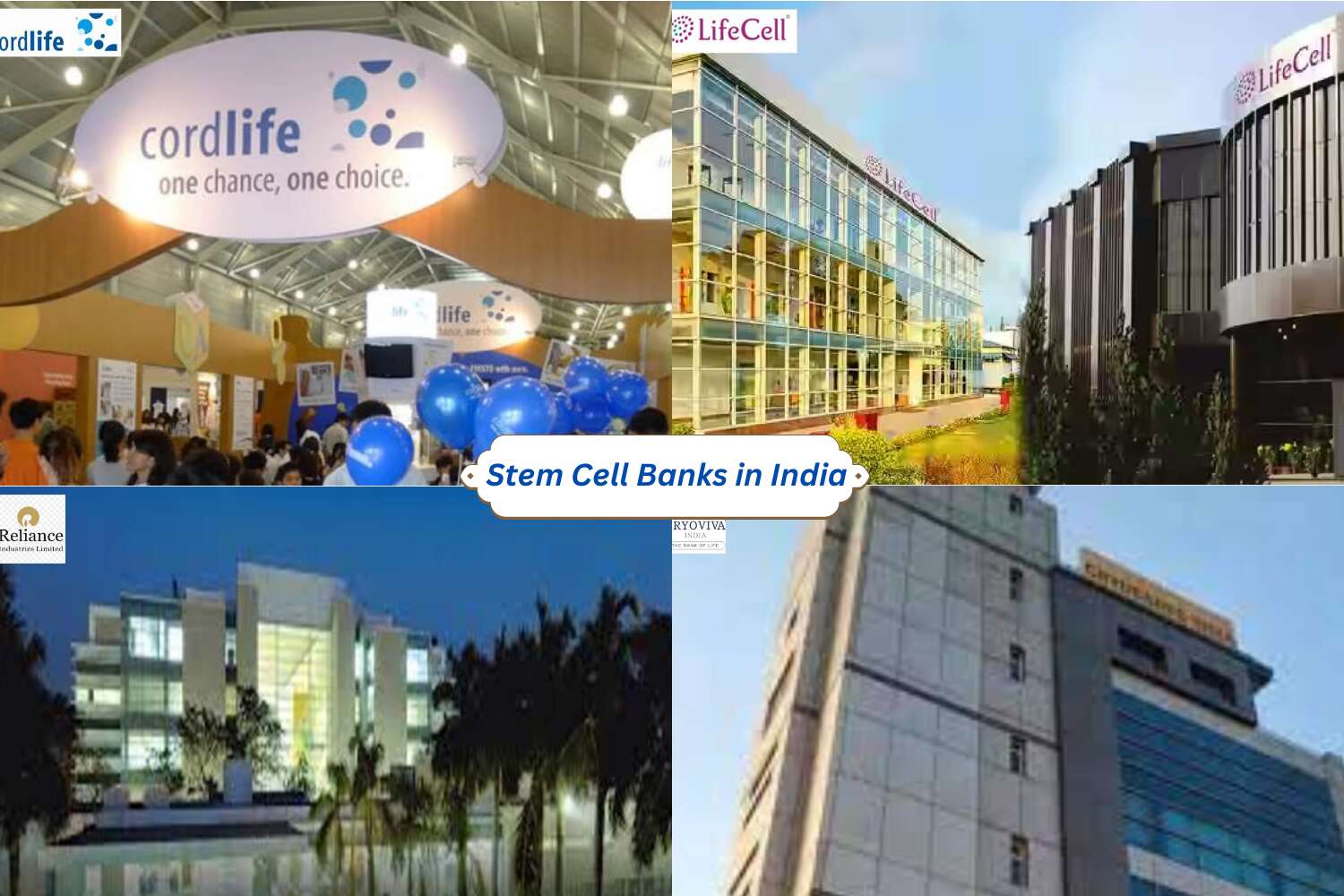 best stem cell bank 