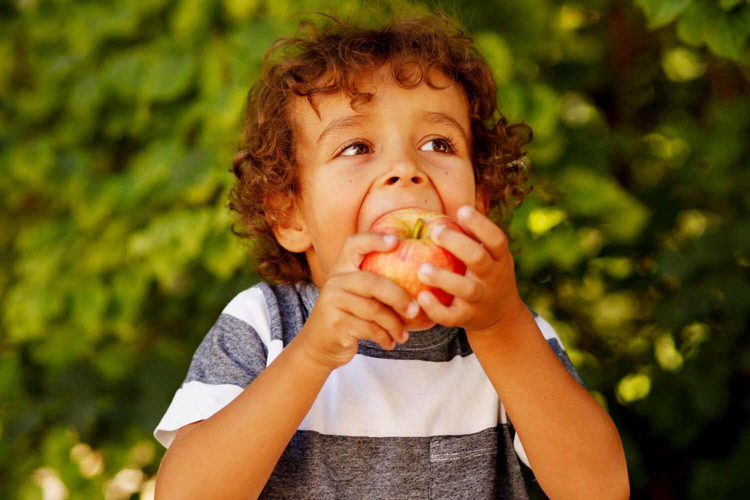 A boy eating apple