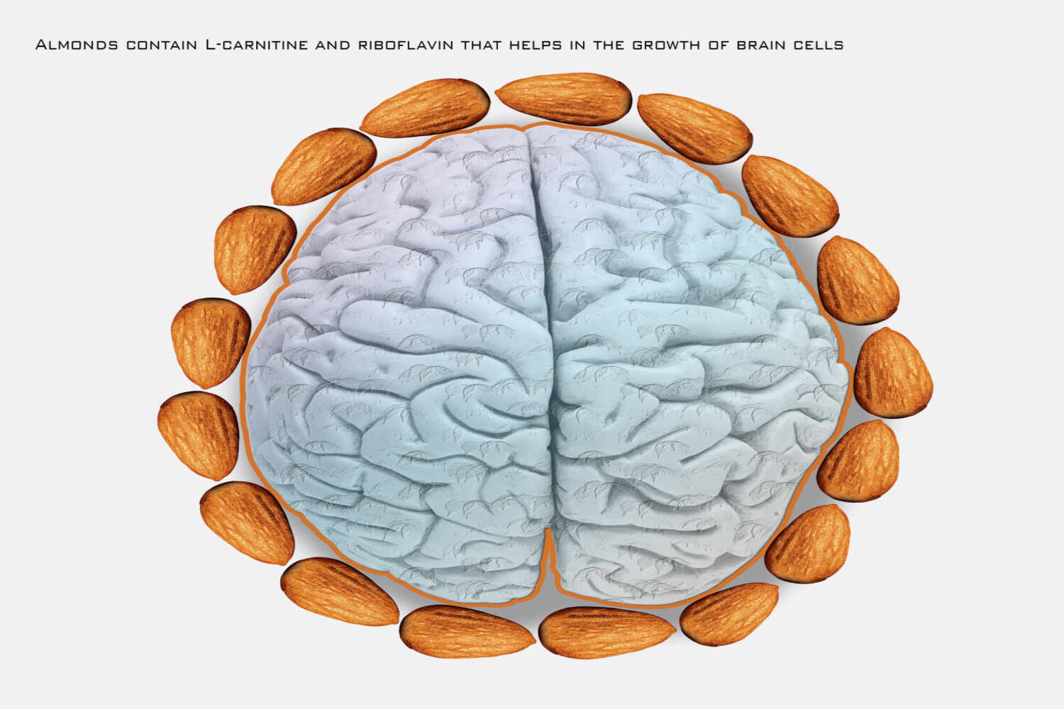 Almonds improve brain function