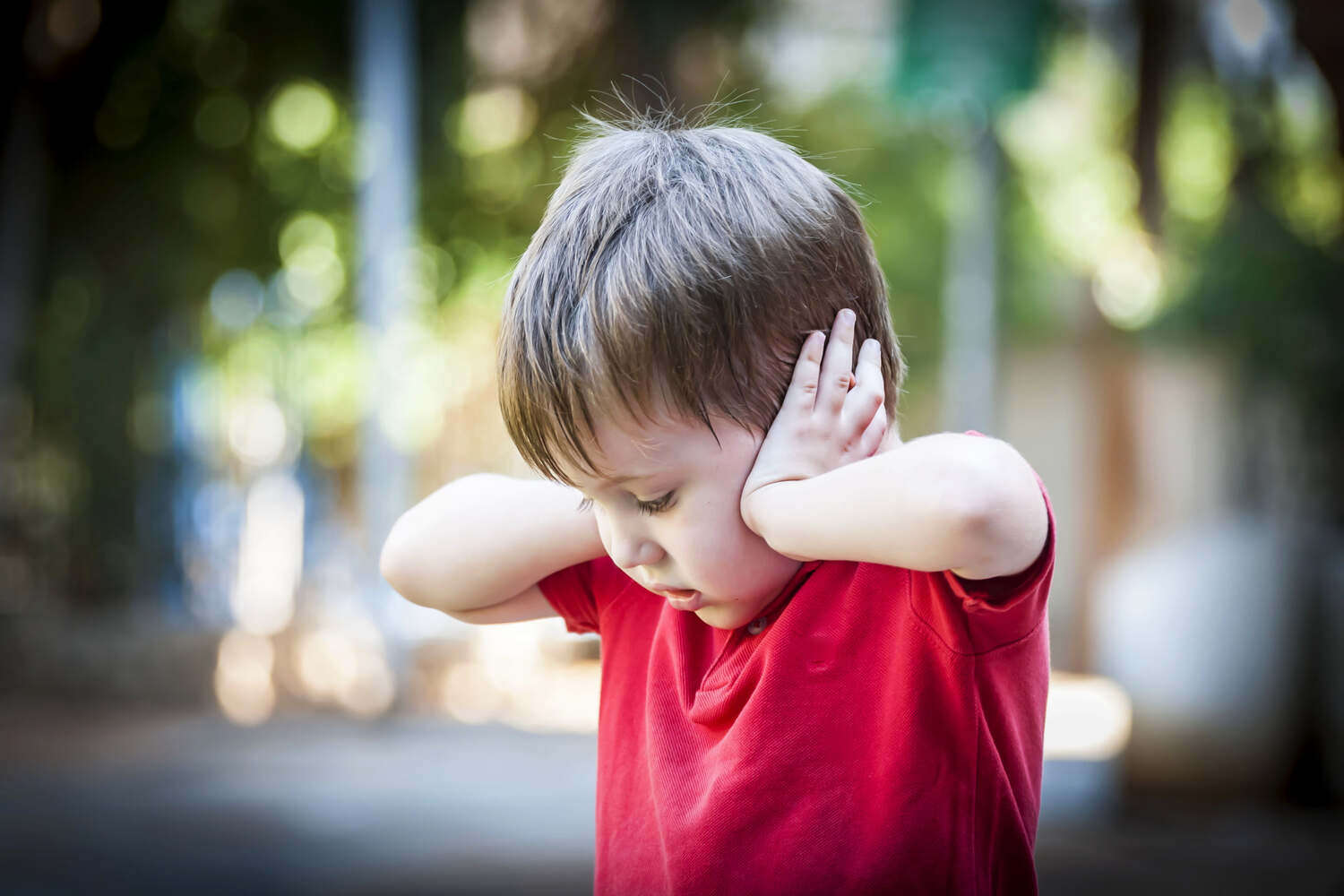 Sensory sensitivity to flush noise can make toilet training tough for an autistic child