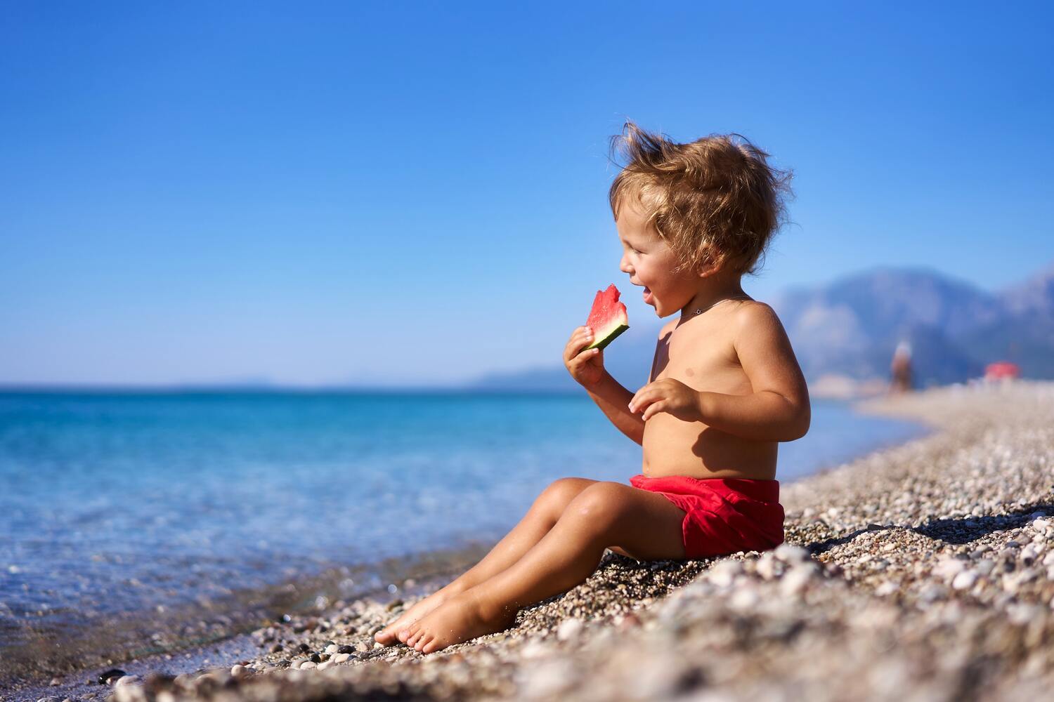 Healthy travel foods for toddlers