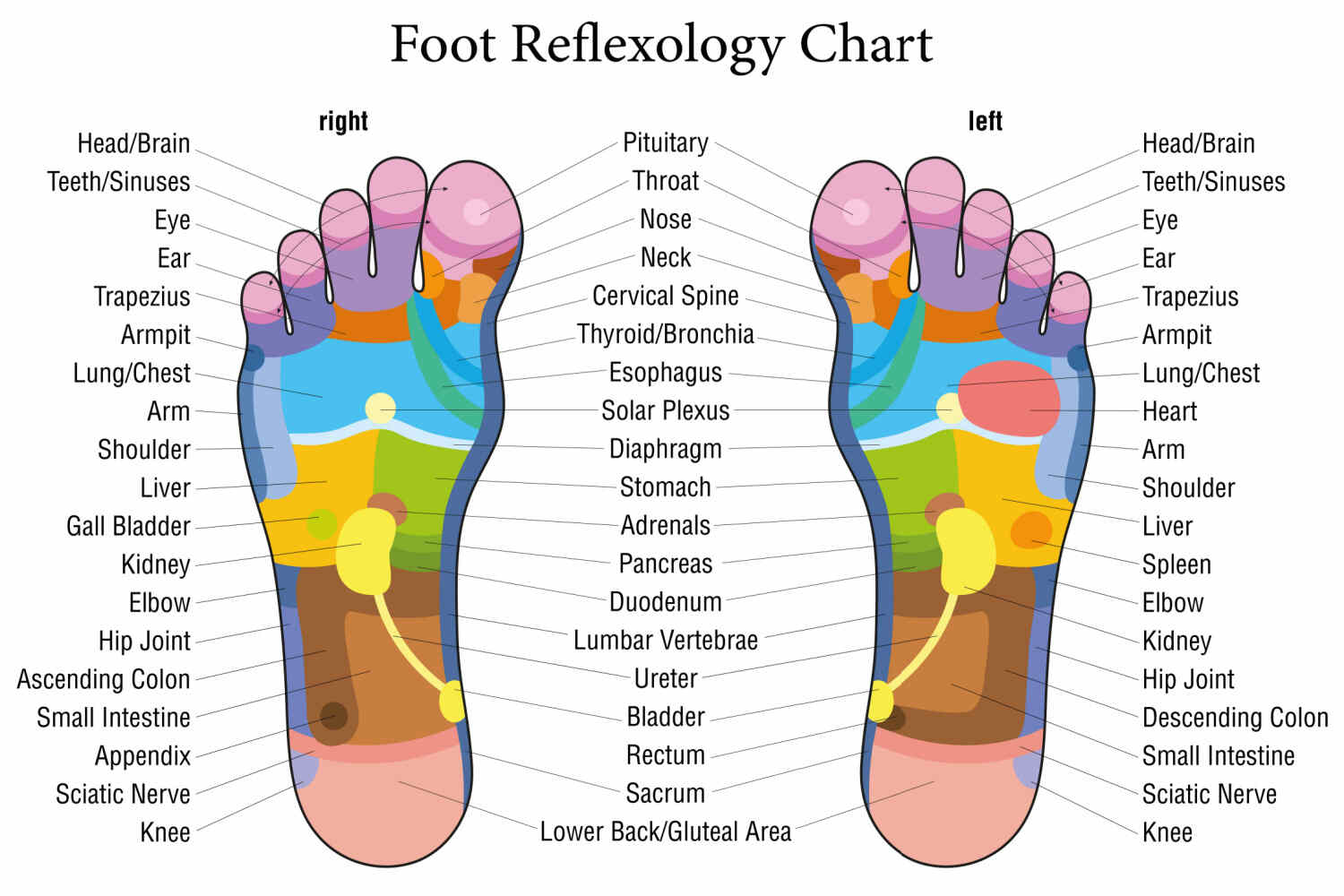 Reflexology