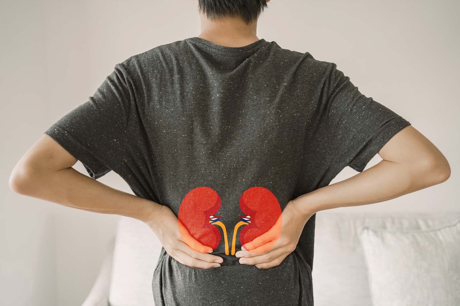Kids may complain of back pain if they have stones in kidney