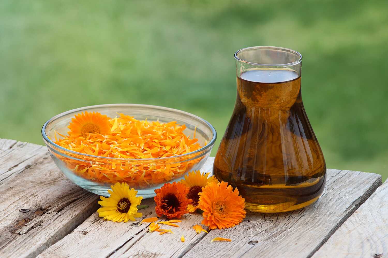 Calendula During Pregnancy