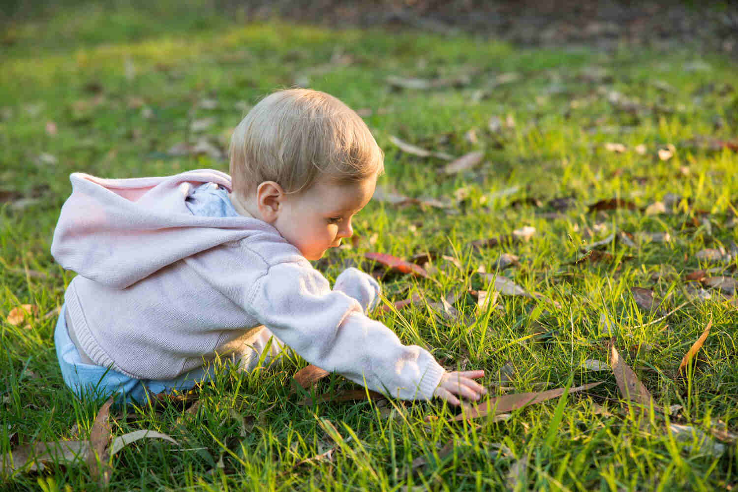 A toddler picking something from the grass