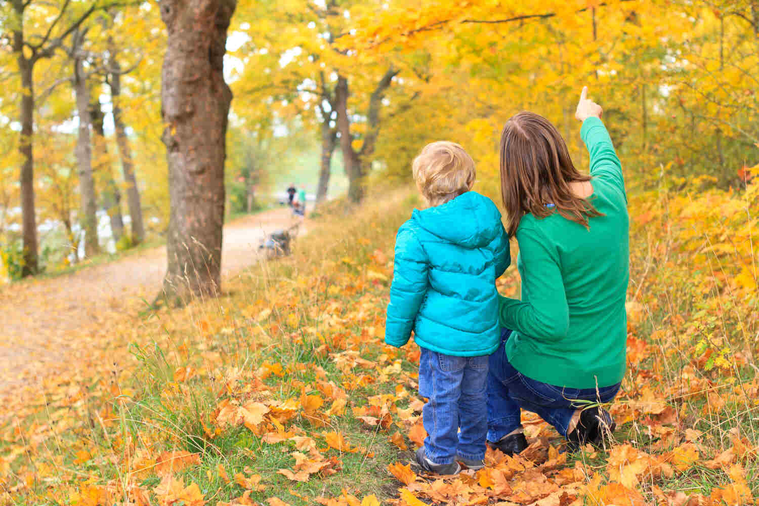 Teach toddler names of things to enhance language development