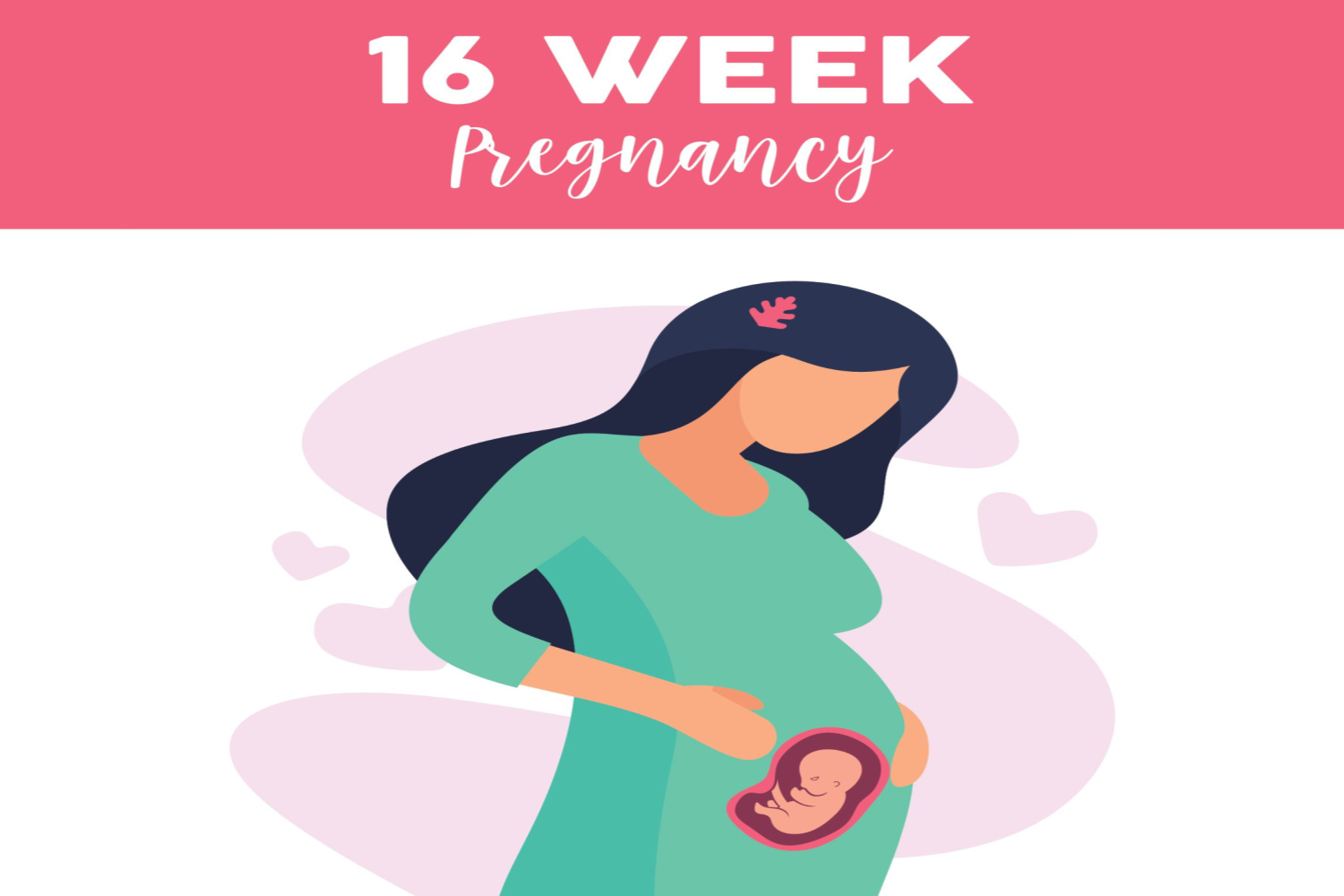 Pregnancy week 16