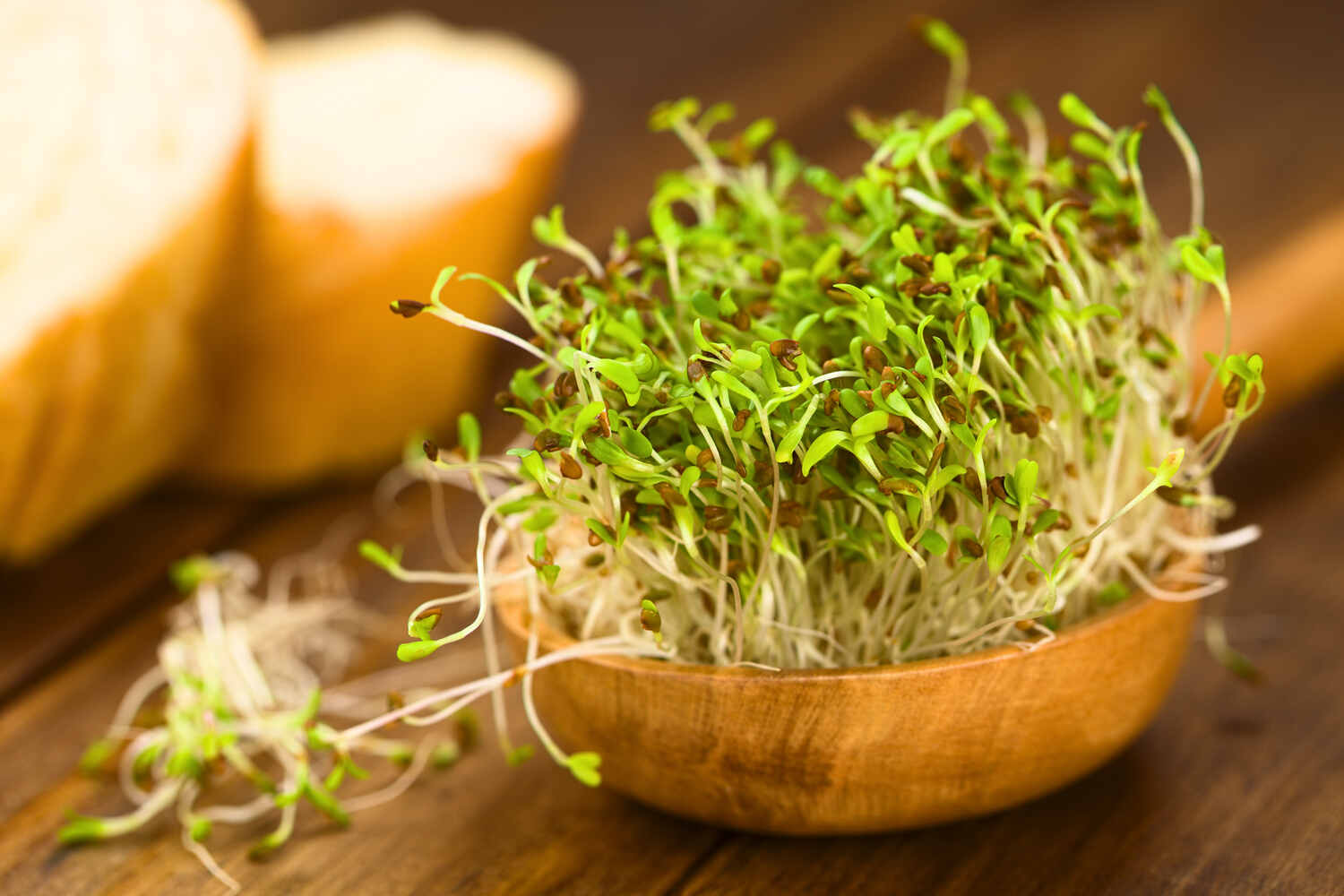 Raw Sprouts