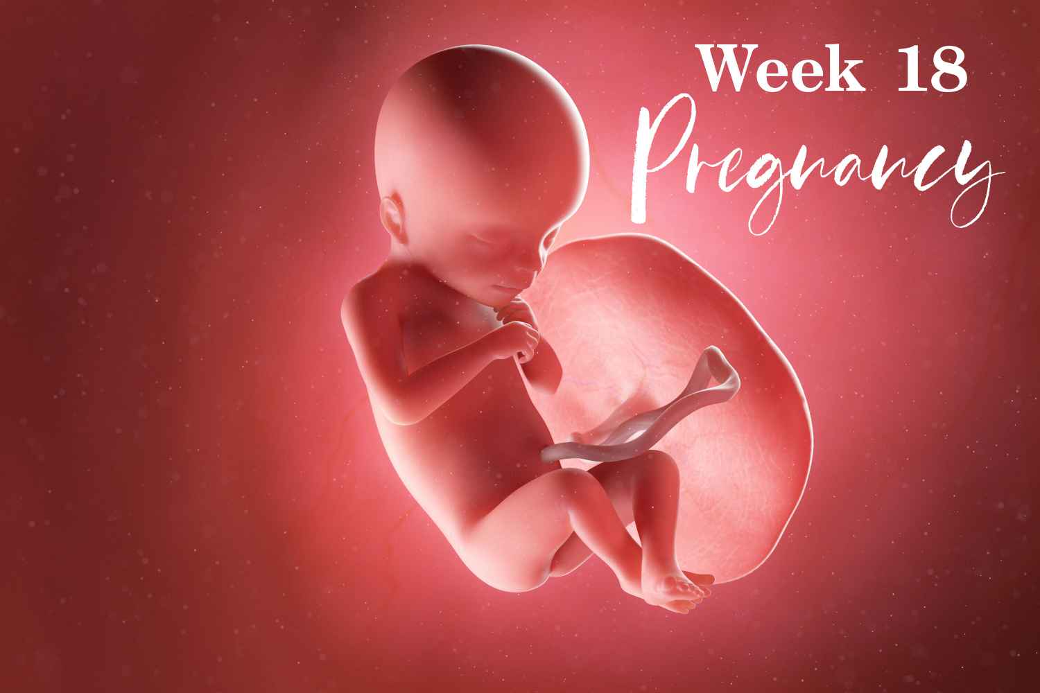 pregnancy week 18