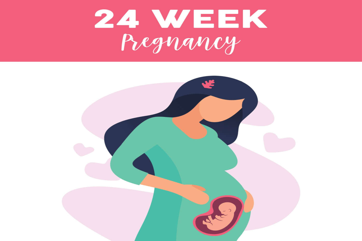 pregnancy week 24