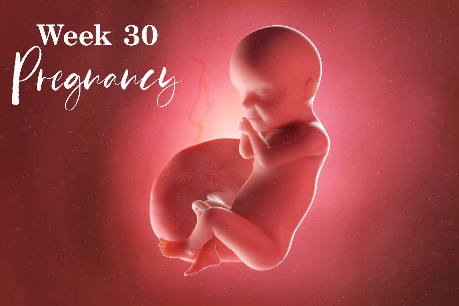 pregnancy week 30
