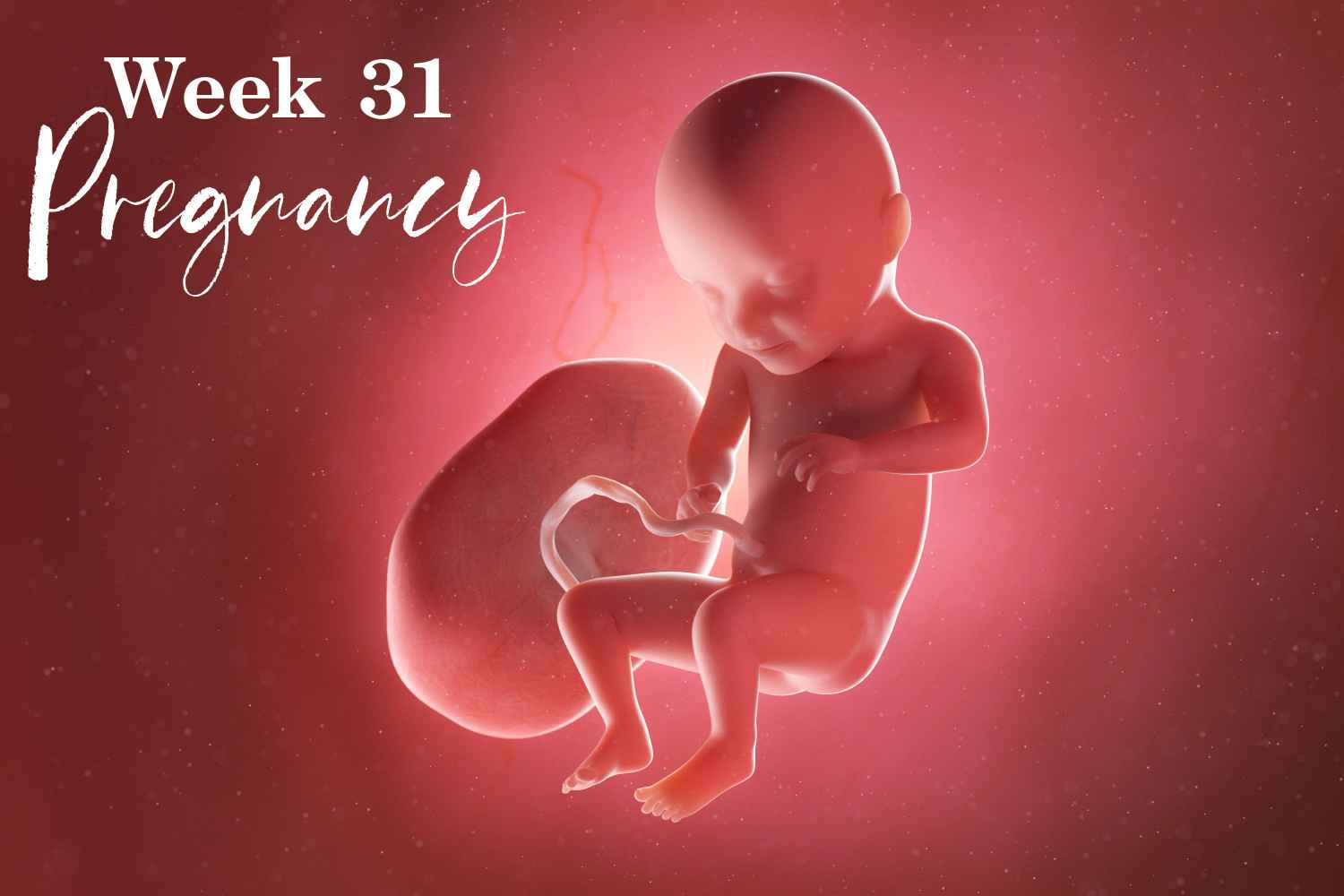 pregnancy week 31