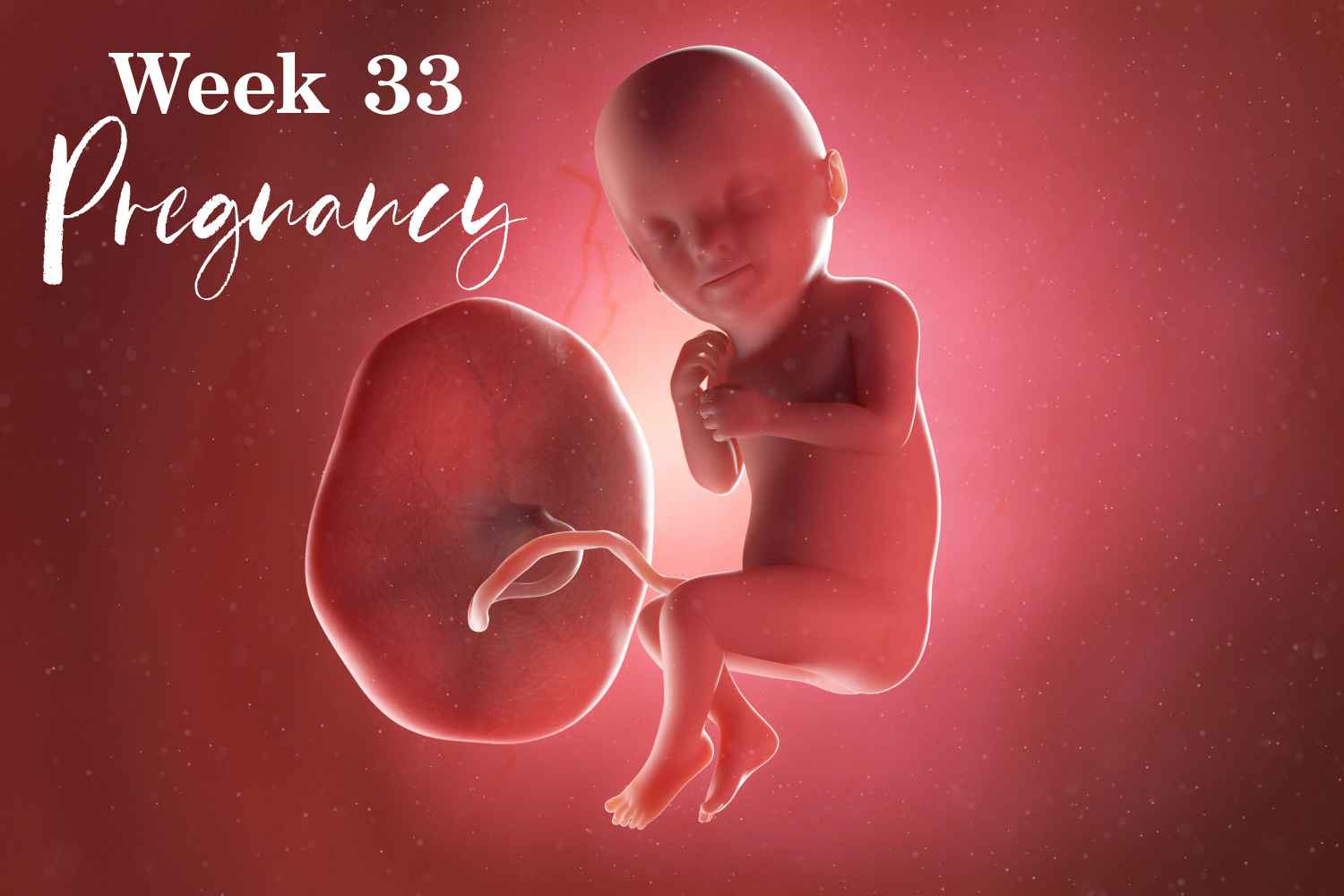 pregnancy week 33