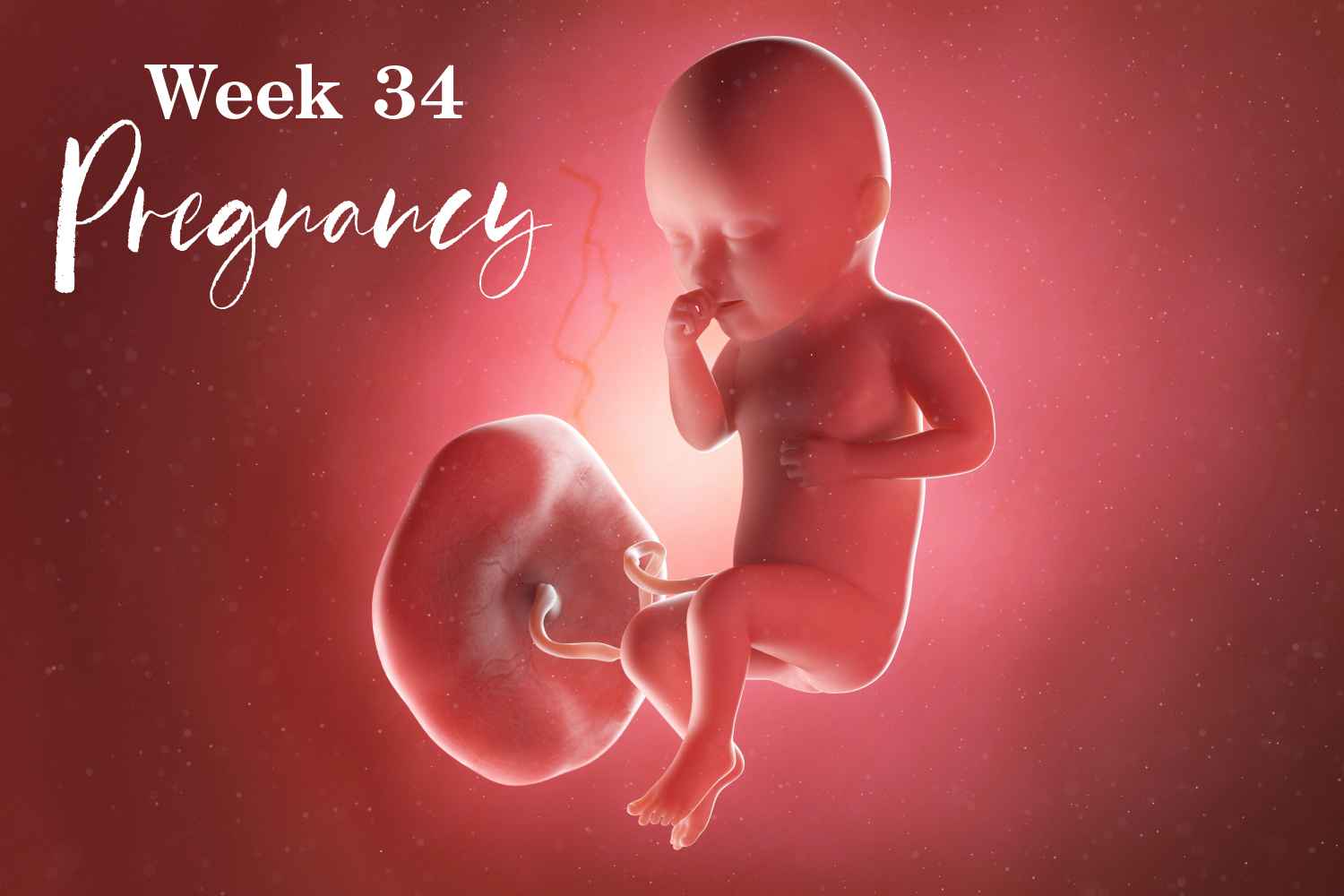 pregnancy week 34