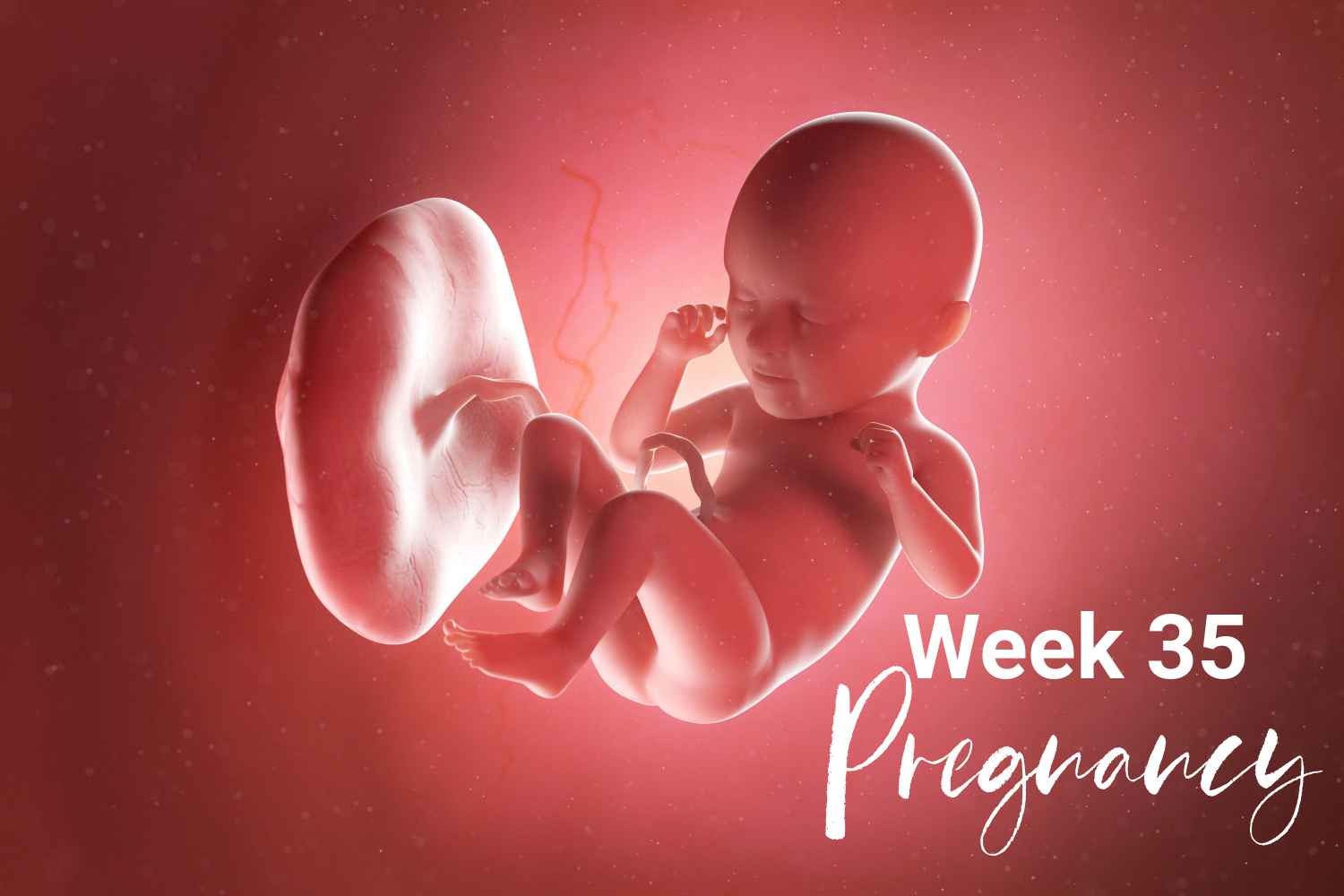 pregnancy week 35