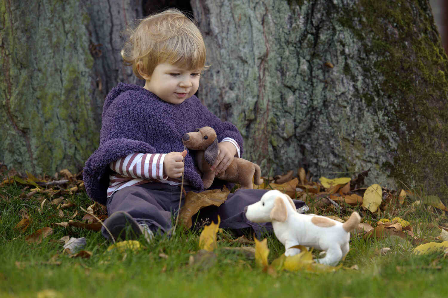 A little boy with dog toys