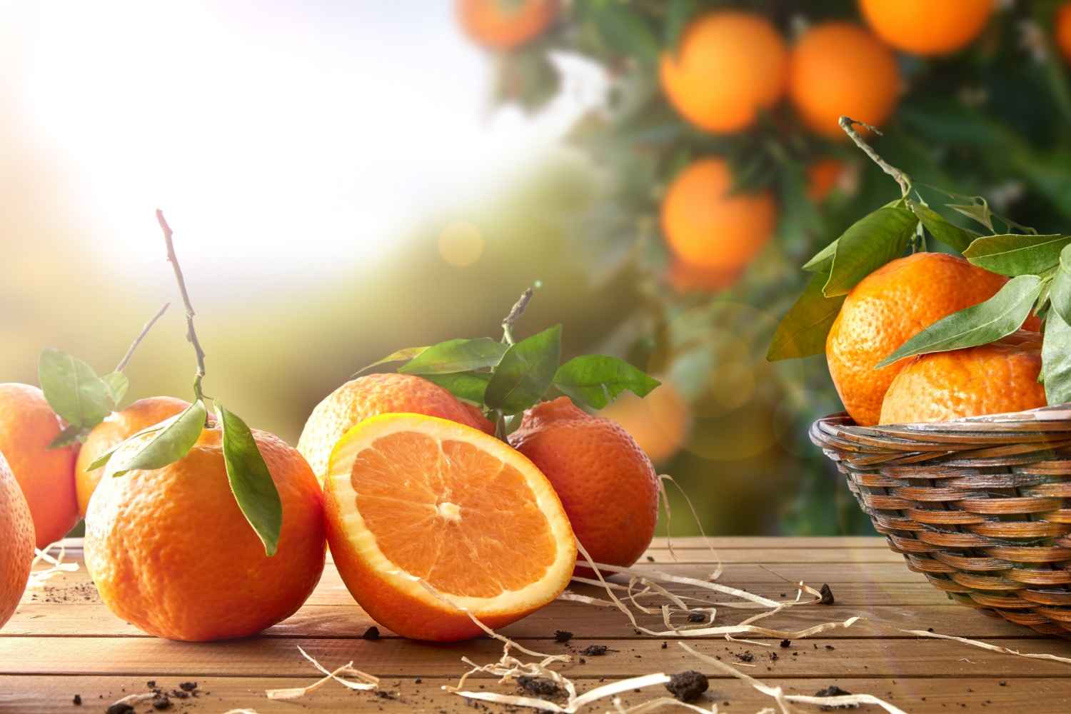 Orange nutrition