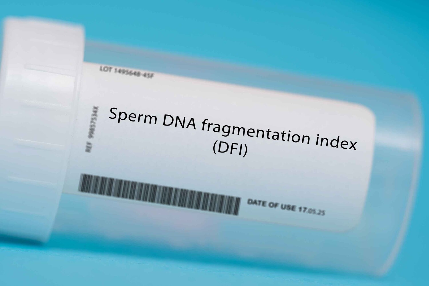 DNA fragmentation and male fertility