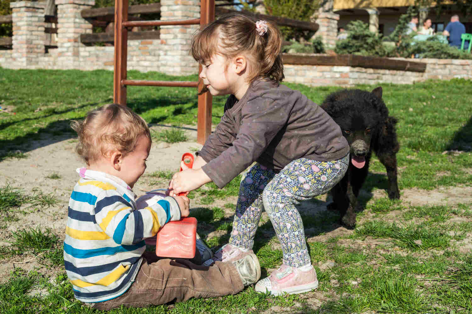 Kids fighting over toys