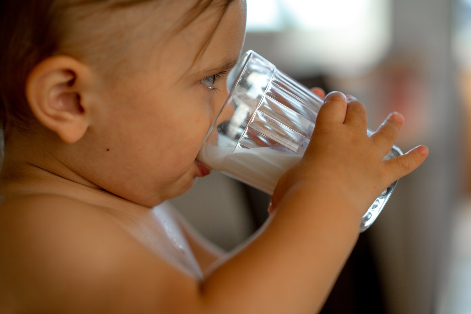 introducing cow milk to baby