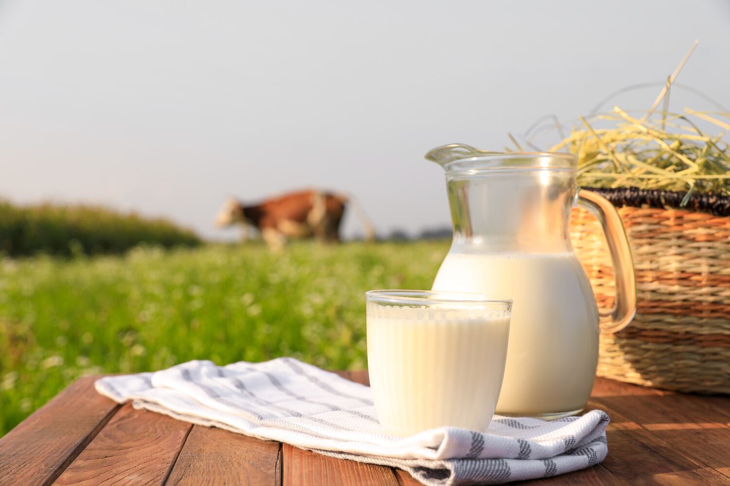 Cow milk benefits